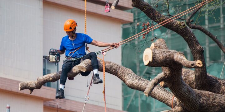 Branching Out: Exploring Innovative Approaches to Tree Cutting